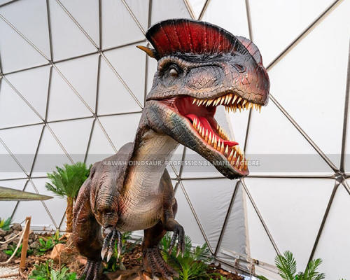 Animatronic Dinosaurs (25)