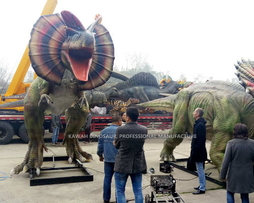 Cooperative Partner and Projects12