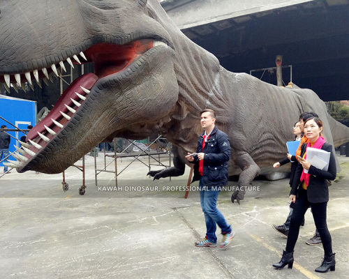 Cooperative Partner and Projects13