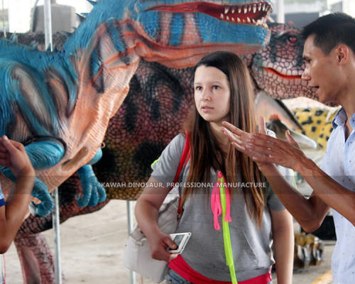 Cooperative Partner and Projects16