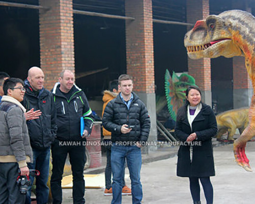 Cooperative Partner and Projects21