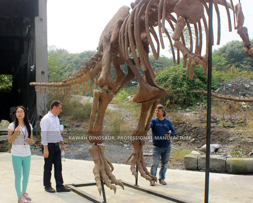 Cooperative Partner and Projects3