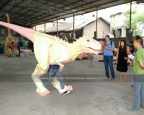 Cooperative Partner and Projects5