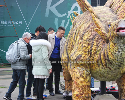 Cooperative Partner and Projects9