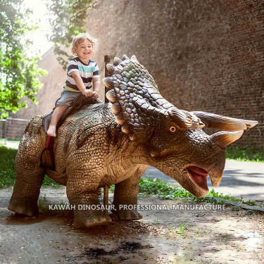 Supporting Service (11)