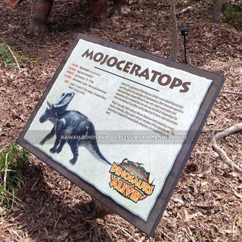 Supporting Service (7)