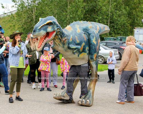 Dinosaur Costumes (5)