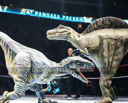 Dinosaur Costumes (6)