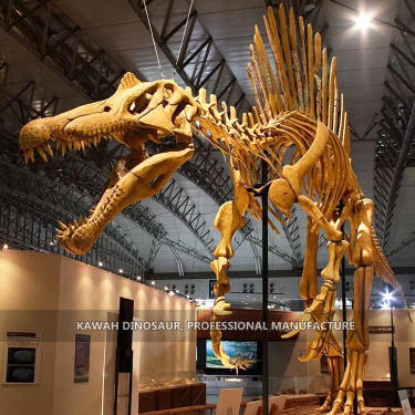 Supporting Service (12)